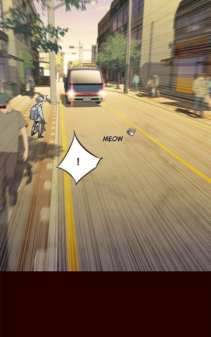 đọc truyện Hóa Thân Thành Mèo Chương 27 ảnh 12 tại Thiên Thai Truyện