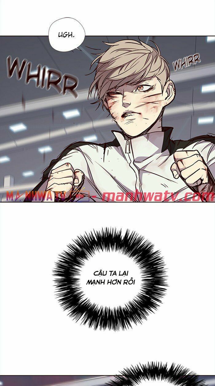 đọc truyện Hóa Thân Thành Mèo Chương 27 ảnh 36 tại Thiên Thai Truyện