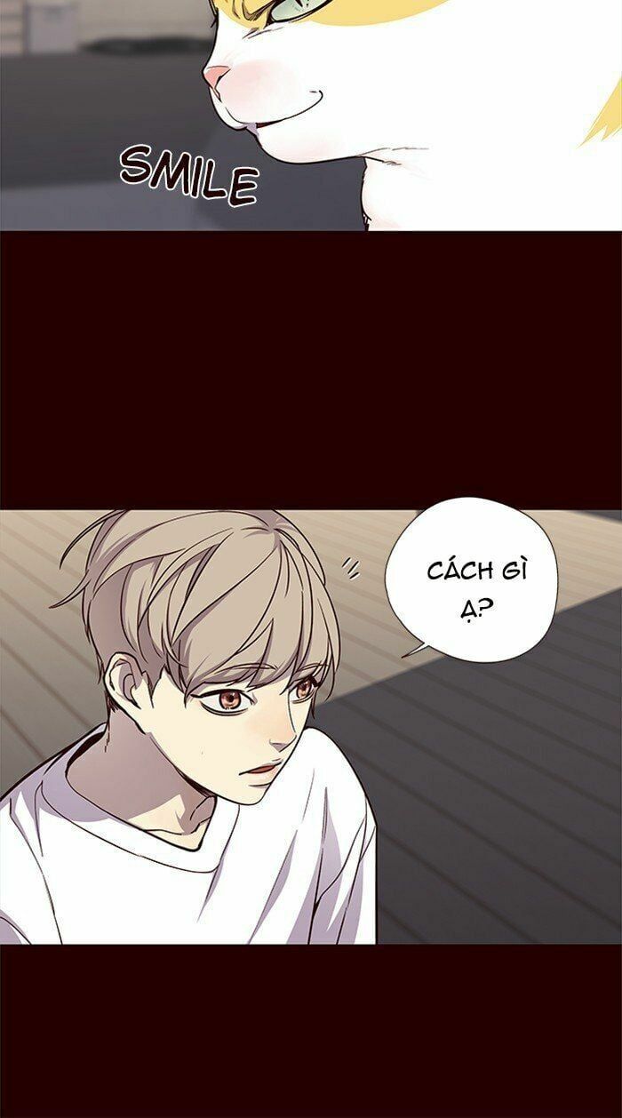 đọc truyện Hóa Thân Thành Mèo Chương 27 ảnh 43 tại Thiên Thai Truyện