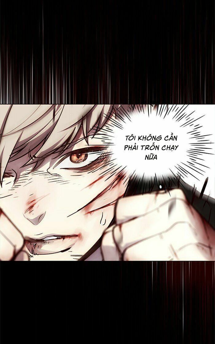 đọc truyện Hóa Thân Thành Mèo Chương 27 ảnh 55 tại Thiên Thai Truyện