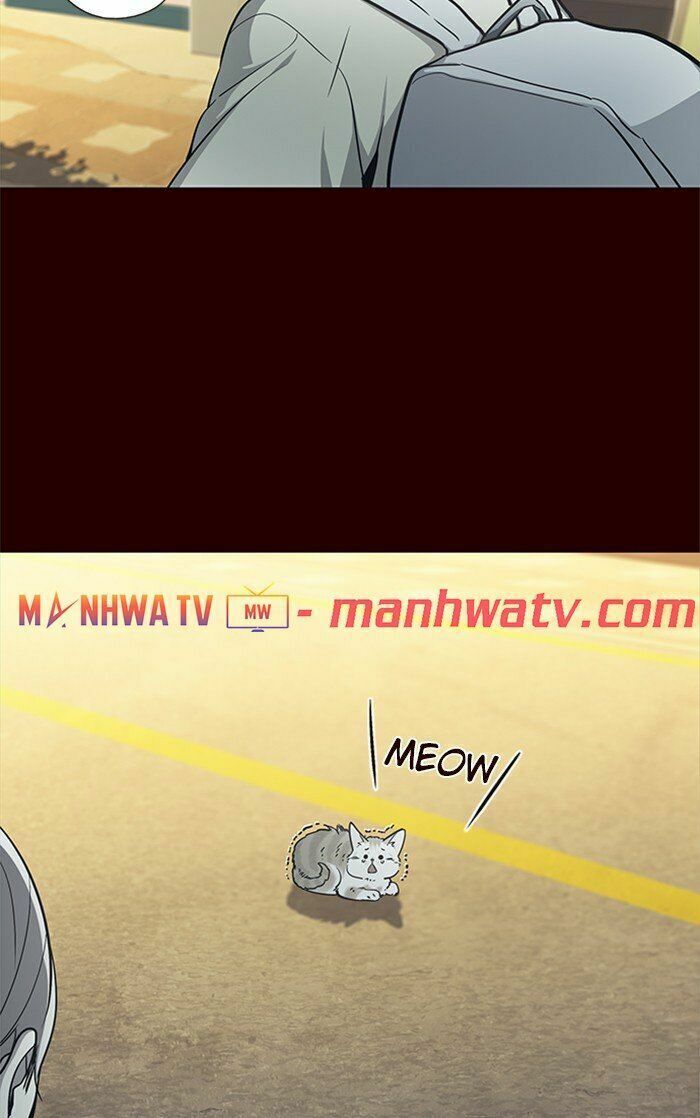 đọc truyện Hóa Thân Thành Mèo Chương 27 ảnh 9 tại Thiên Thai Truyện