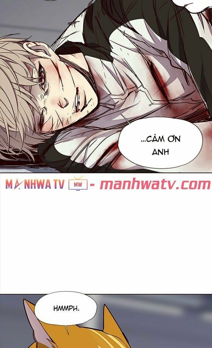 đọc truyện Hóa Thân Thành Mèo Chương 27 ảnh 78 tại Thiên Thai Truyện