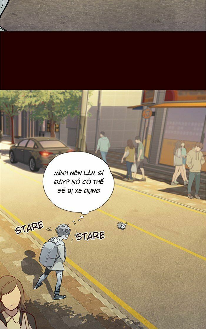 đọc truyện Hóa Thân Thành Mèo Chương 27 ảnh 10 tại Thiên Thai Truyện