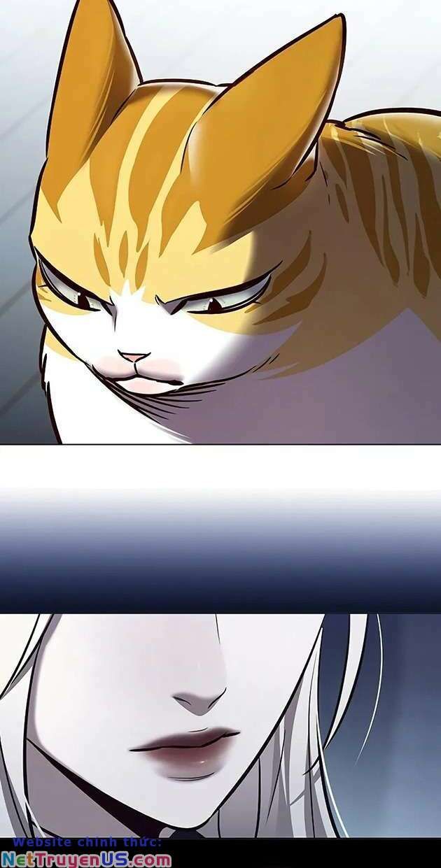 đọc truyện Hóa Thân Thành Mèo Chương 270 ảnh 22 tại Thiên Thai Truyện