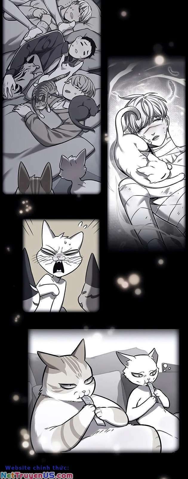 đọc truyện Hóa Thân Thành Mèo Chương 270 ảnh 68 tại Thiên Thai Truyện