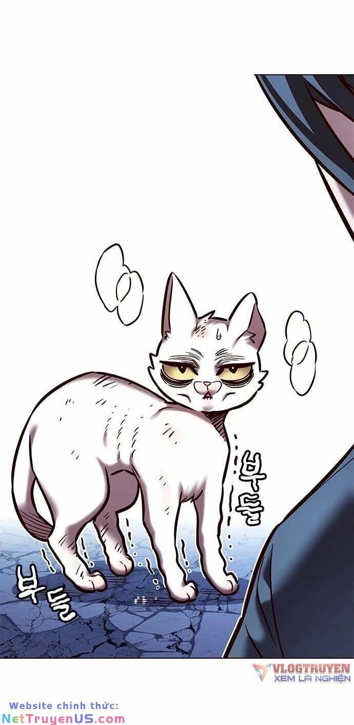 đọc truyện Hóa Thân Thành Mèo Chương 275 ảnh 24 tại Thiên Thai Truyện