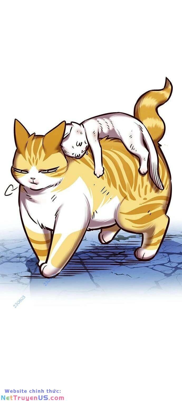 đọc truyện Hóa Thân Thành Mèo Chương 275 ảnh 42 tại Thiên Thai Truyện