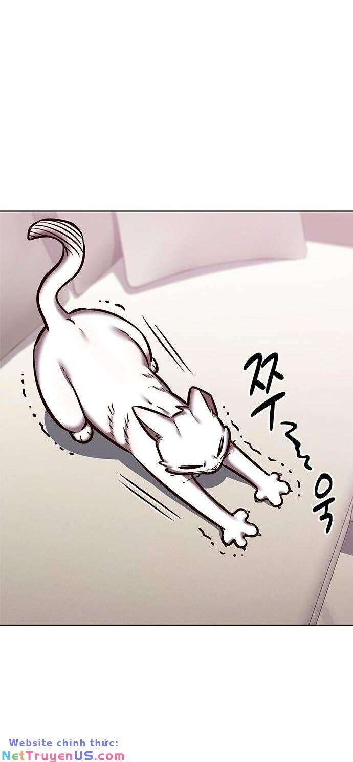 đọc truyện Hóa Thân Thành Mèo Chương 275 ảnh 64 tại Thiên Thai Truyện