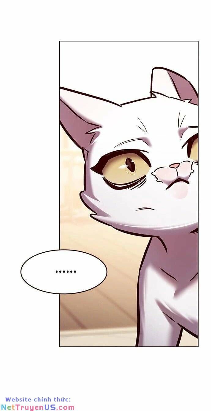 đọc truyện Hóa Thân Thành Mèo Chương 275 ảnh 67 tại Thiên Thai Truyện