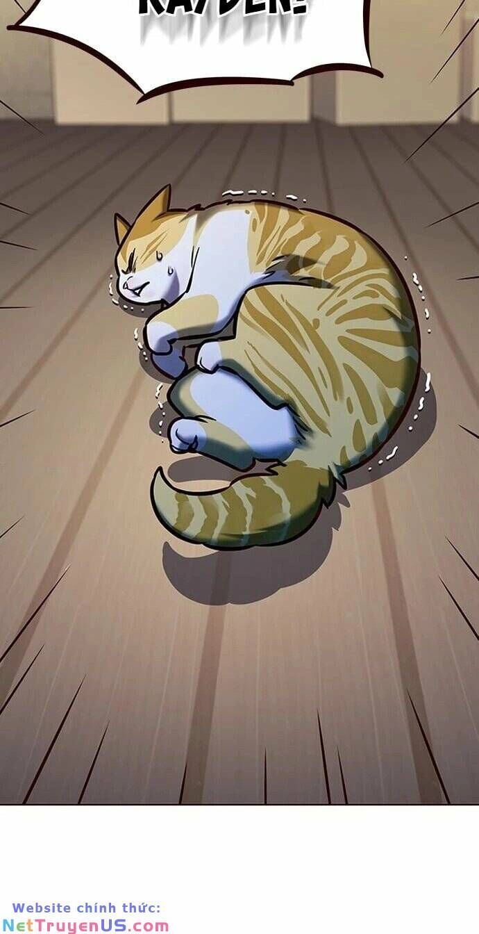 đọc truyện Hóa Thân Thành Mèo Chương 275 ảnh 72 tại Thiên Thai Truyện