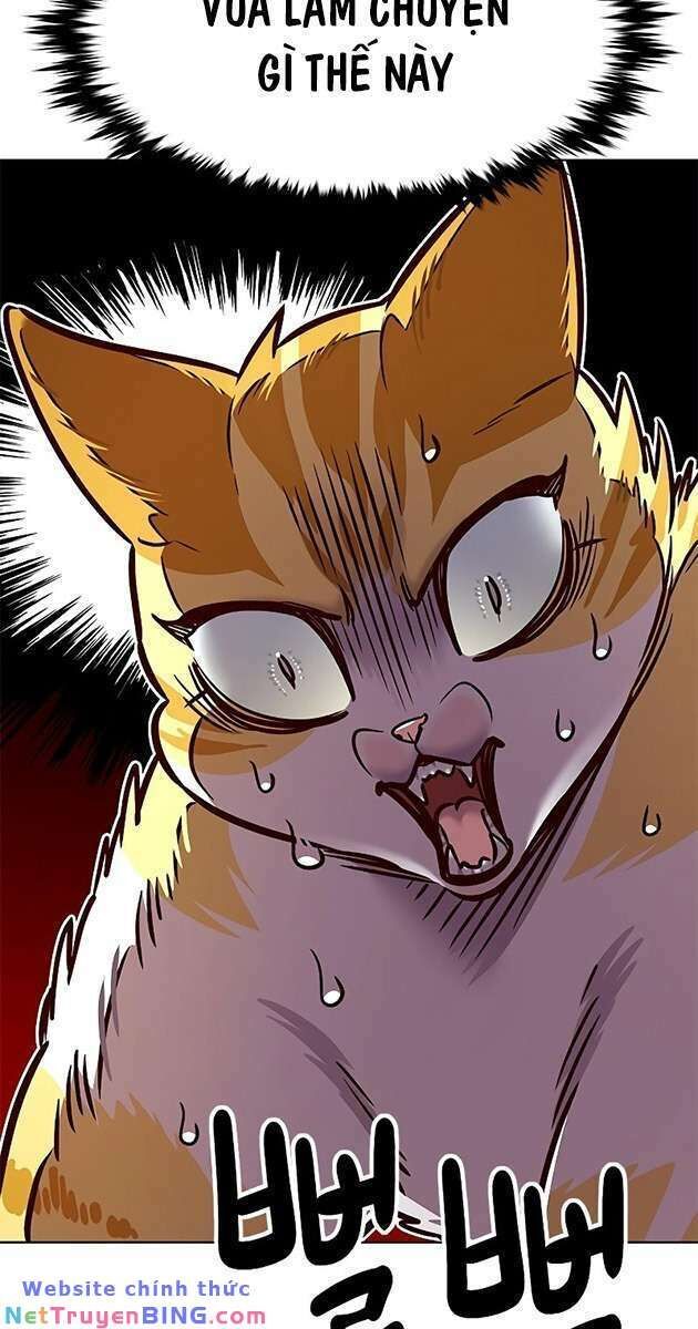 đọc truyện Hóa Thân Thành Mèo Chương 278 ảnh 11 tại Thiên Thai Truyện