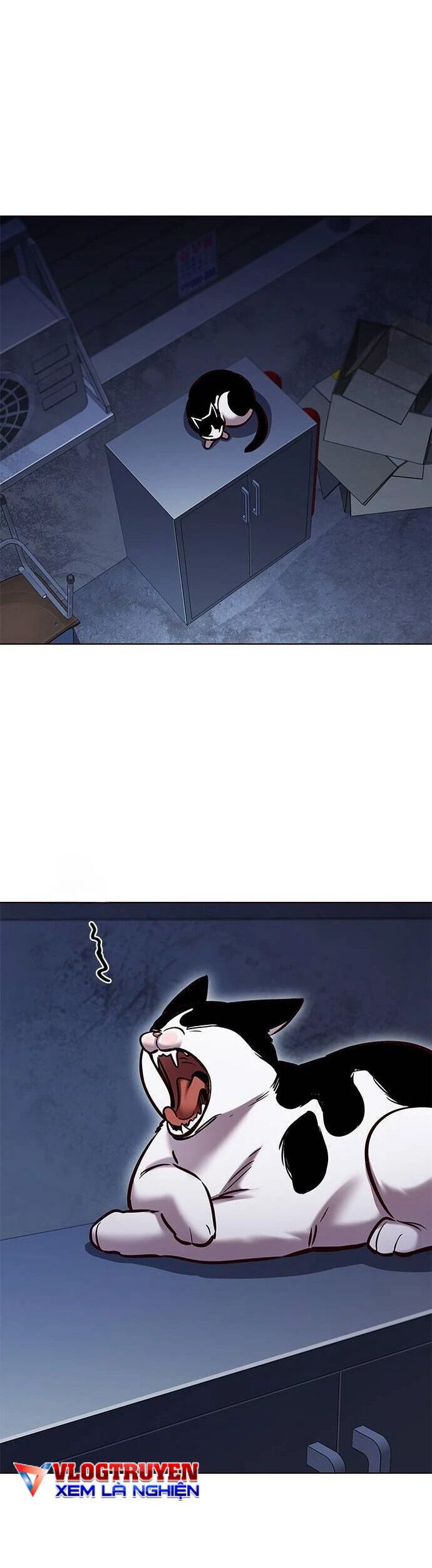 đọc truyện Hóa Thân Thành Mèo Chương 279 ảnh 22 tại Thiên Thai Truyện