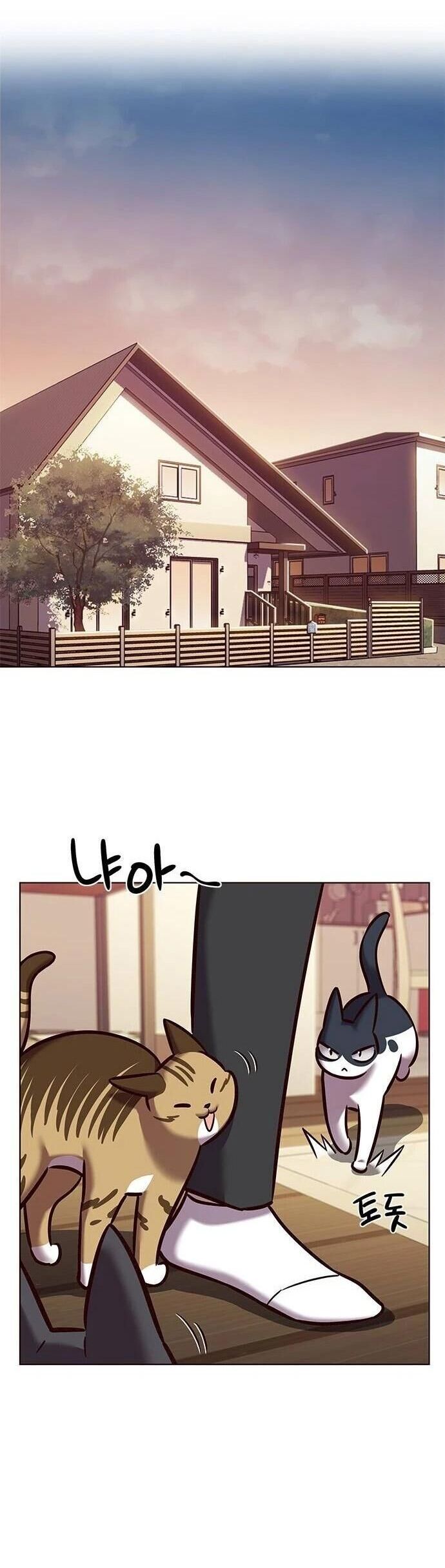 đọc truyện Hóa Thân Thành Mèo Chương 279 ảnh 34 tại Thiên Thai Truyện