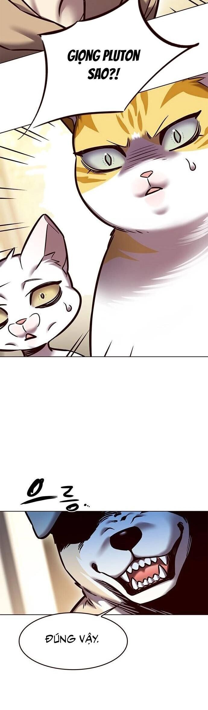 đọc truyện Hóa Thân Thành Mèo Chương 279 ảnh 42 tại Thiên Thai Truyện