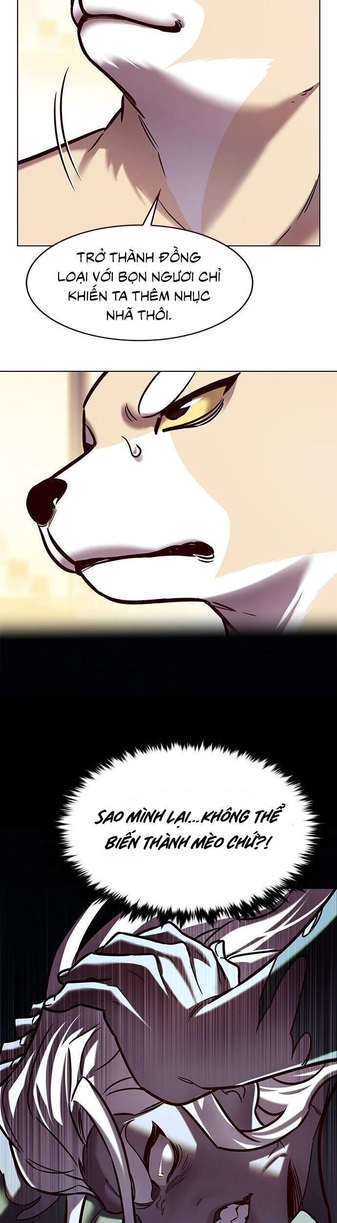 đọc truyện Hóa Thân Thành Mèo Chương 279 ảnh 45 tại Thiên Thai Truyện