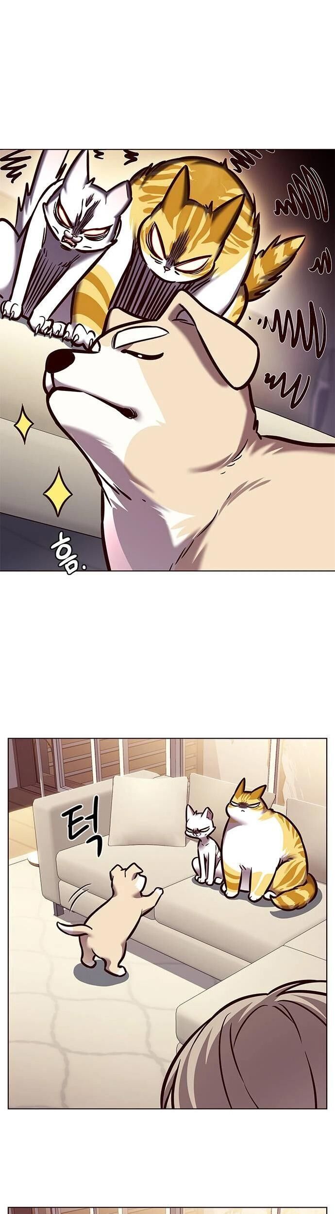 đọc truyện Hóa Thân Thành Mèo Chương 279 ảnh 54 tại Thiên Thai Truyện