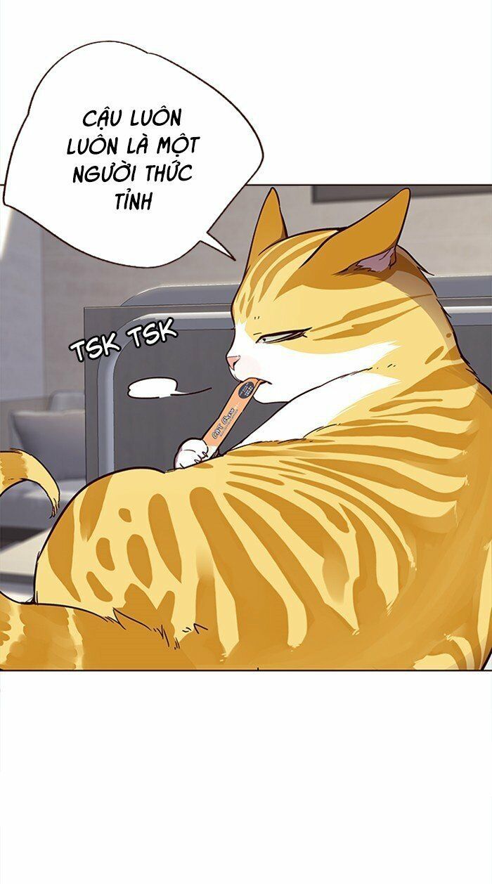 đọc truyện Hóa Thân Thành Mèo Chương 28 ảnh 20 tại Thiên Thai Truyện