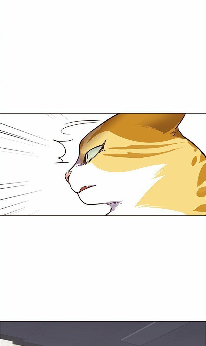 đọc truyện Hóa Thân Thành Mèo Chương 28 ảnh 25 tại Thiên Thai Truyện