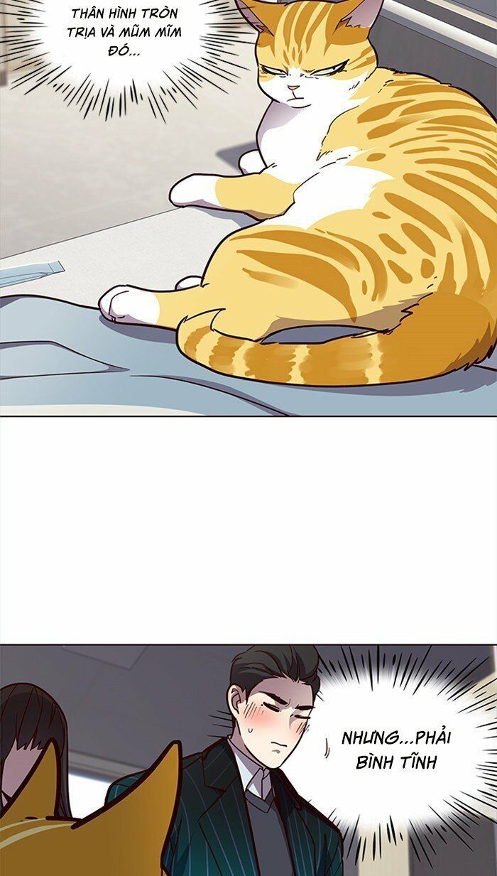 đọc truyện Hóa Thân Thành Mèo Chương 28 ảnh 38 tại Thiên Thai Truyện