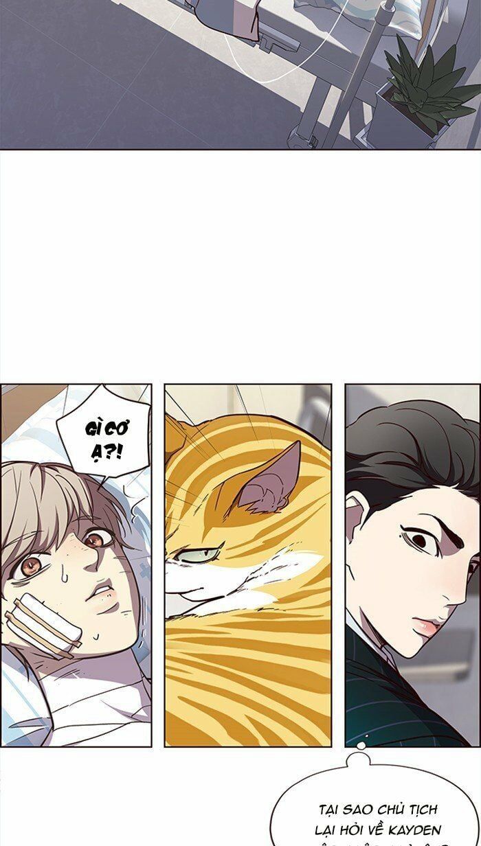 đọc truyện Hóa Thân Thành Mèo Chương 28 ảnh 41 tại Thiên Thai Truyện