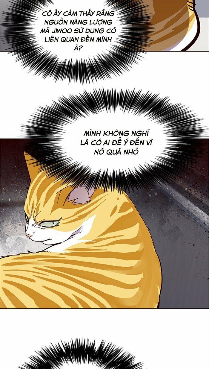 đọc truyện Hóa Thân Thành Mèo Chương 28 ảnh 43 tại Thiên Thai Truyện