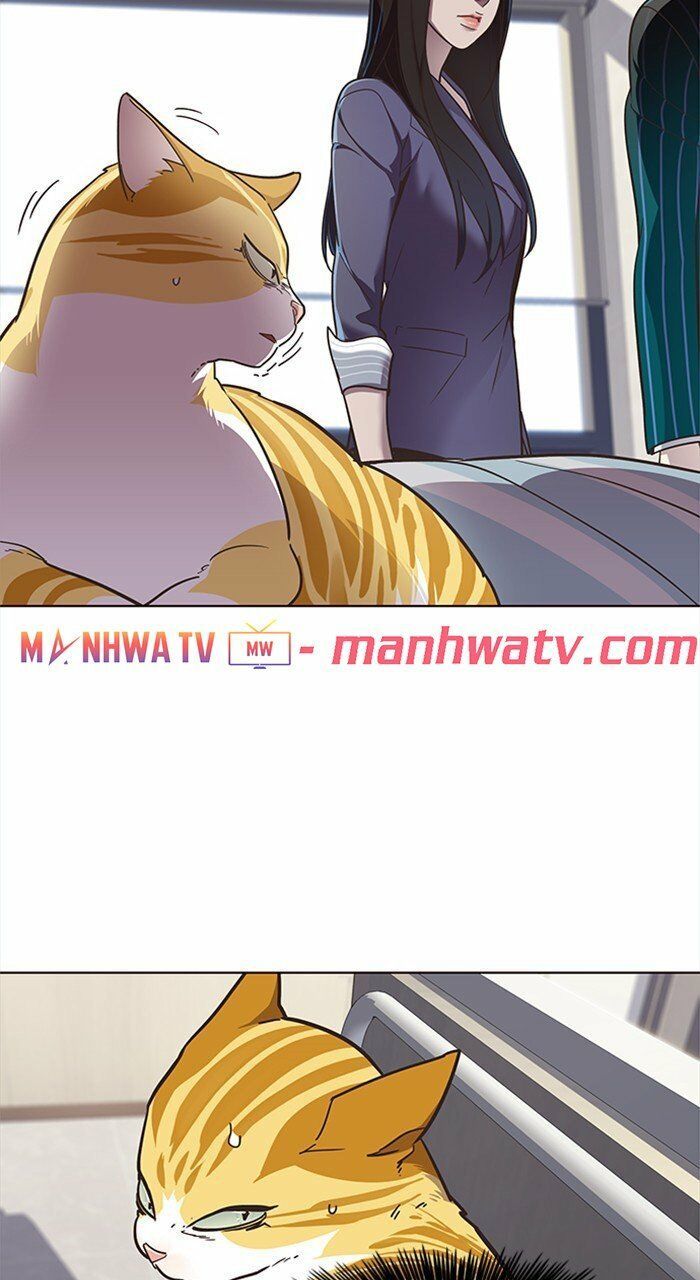 đọc truyện Hóa Thân Thành Mèo Chương 28 ảnh 50 tại Thiên Thai Truyện