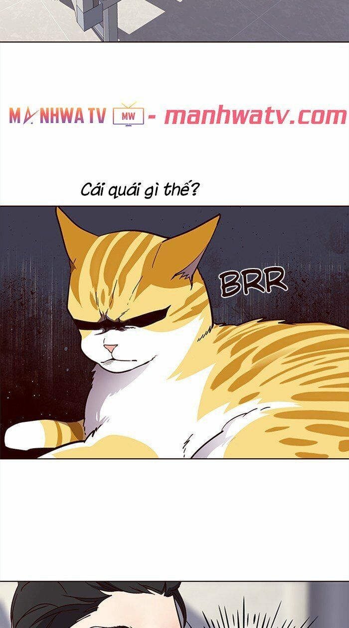 đọc truyện Hóa Thân Thành Mèo Chương 28 ảnh 54 tại Thiên Thai Truyện