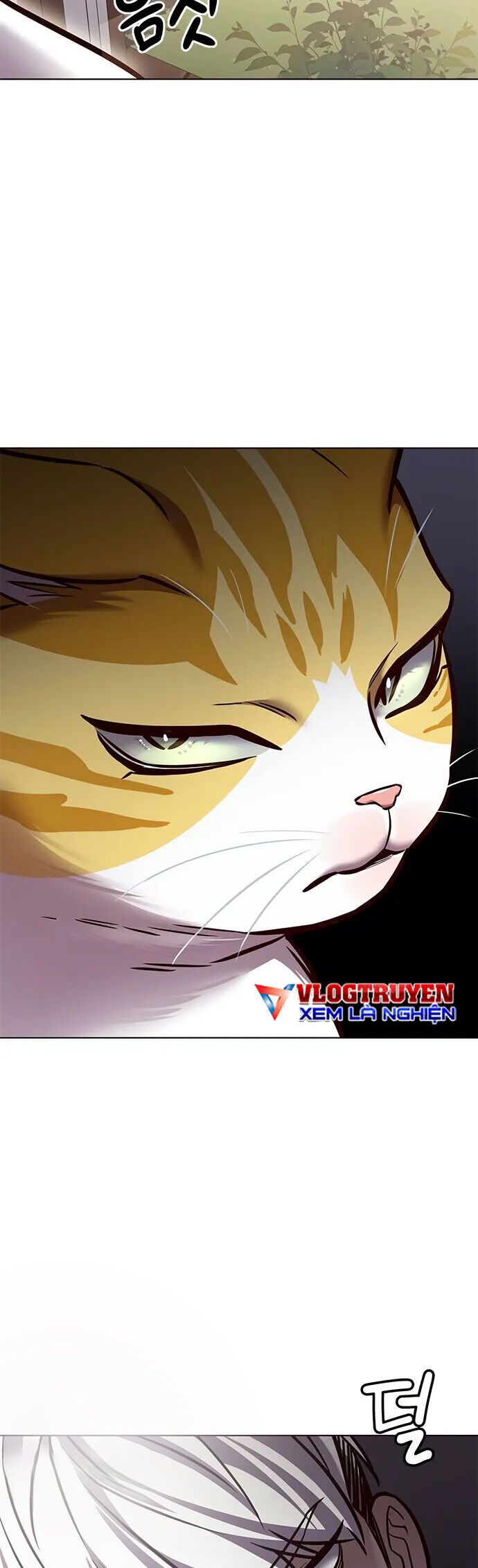 đọc truyện Hóa Thân Thành Mèo Chương 280 ảnh 28 tại Thiên Thai Truyện