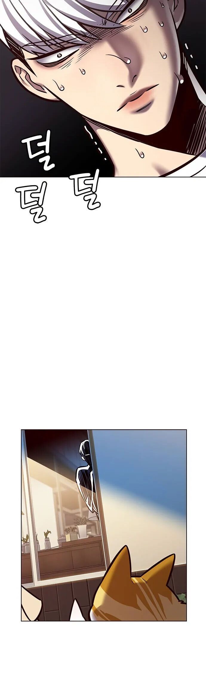 đọc truyện Hóa Thân Thành Mèo Chương 280 ảnh 29 tại Thiên Thai Truyện