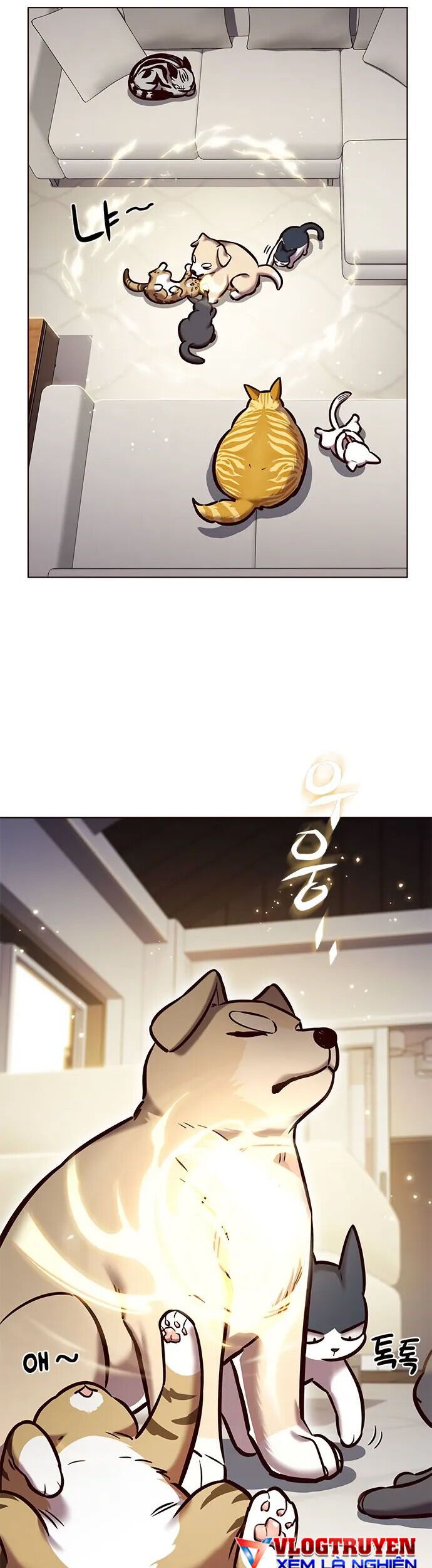 đọc truyện Hóa Thân Thành Mèo Chương 280 ảnh 5 tại Thiên Thai Truyện