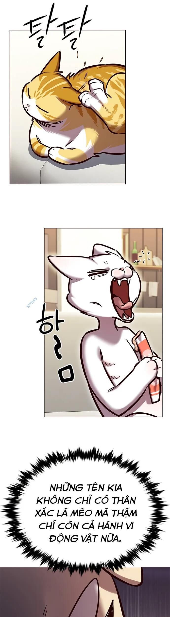 đọc truyện Hóa Thân Thành Mèo Chương 280 ảnh 8 tại Thiên Thai Truyện