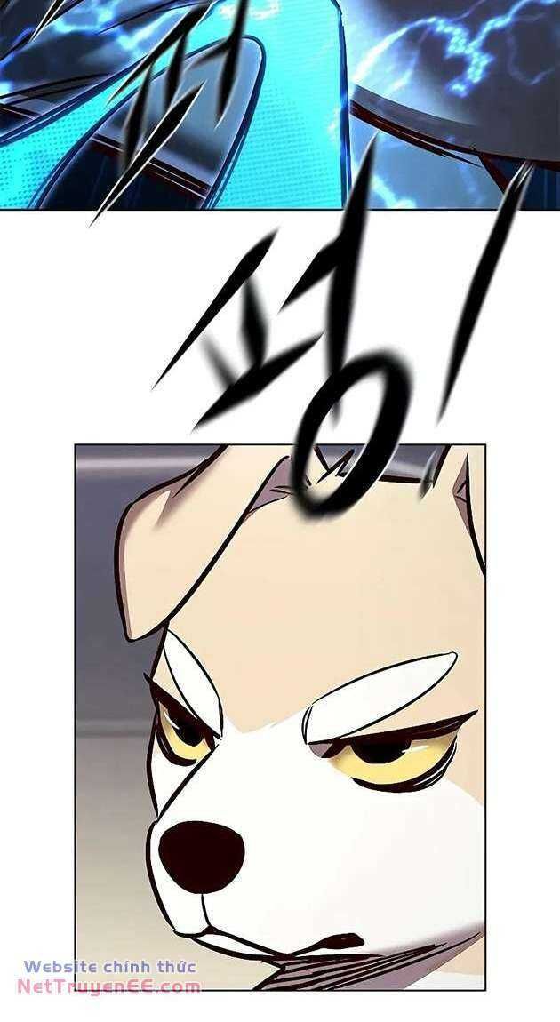 đọc truyện Hóa Thân Thành Mèo Chương 281 ảnh 12 tại Thiên Thai Truyện