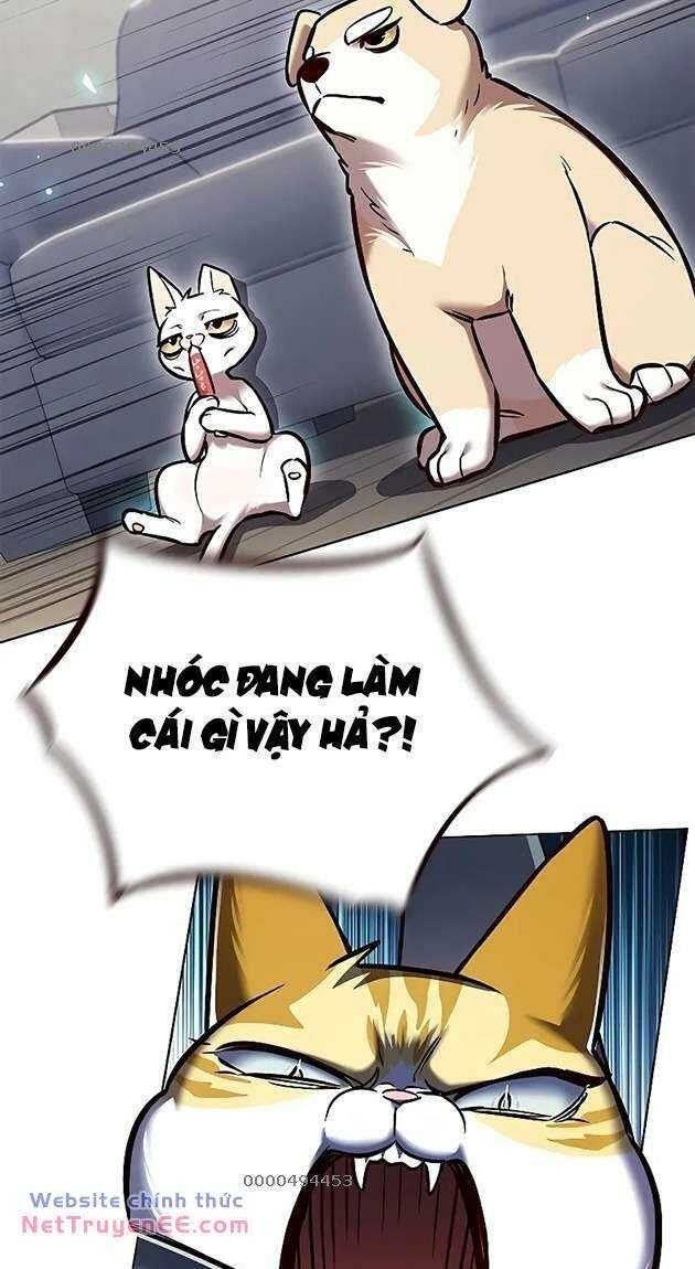 đọc truyện Hóa Thân Thành Mèo Chương 281 ảnh 5 tại Thiên Thai Truyện