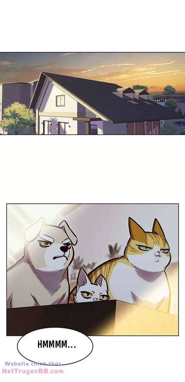 đọc truyện Hóa Thân Thành Mèo Chương 282 ảnh 4 tại Thiên Thai Truyện