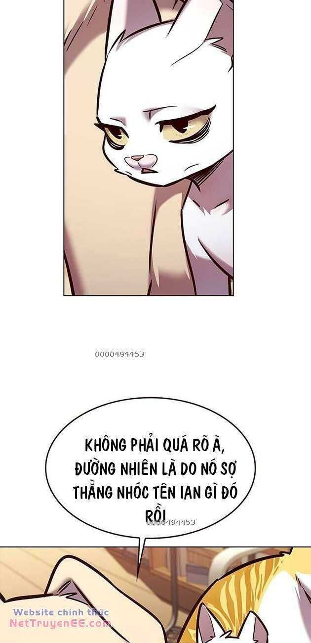 đọc truyện Hóa Thân Thành Mèo Chương 282 ảnh 7 tại Thiên Thai Truyện