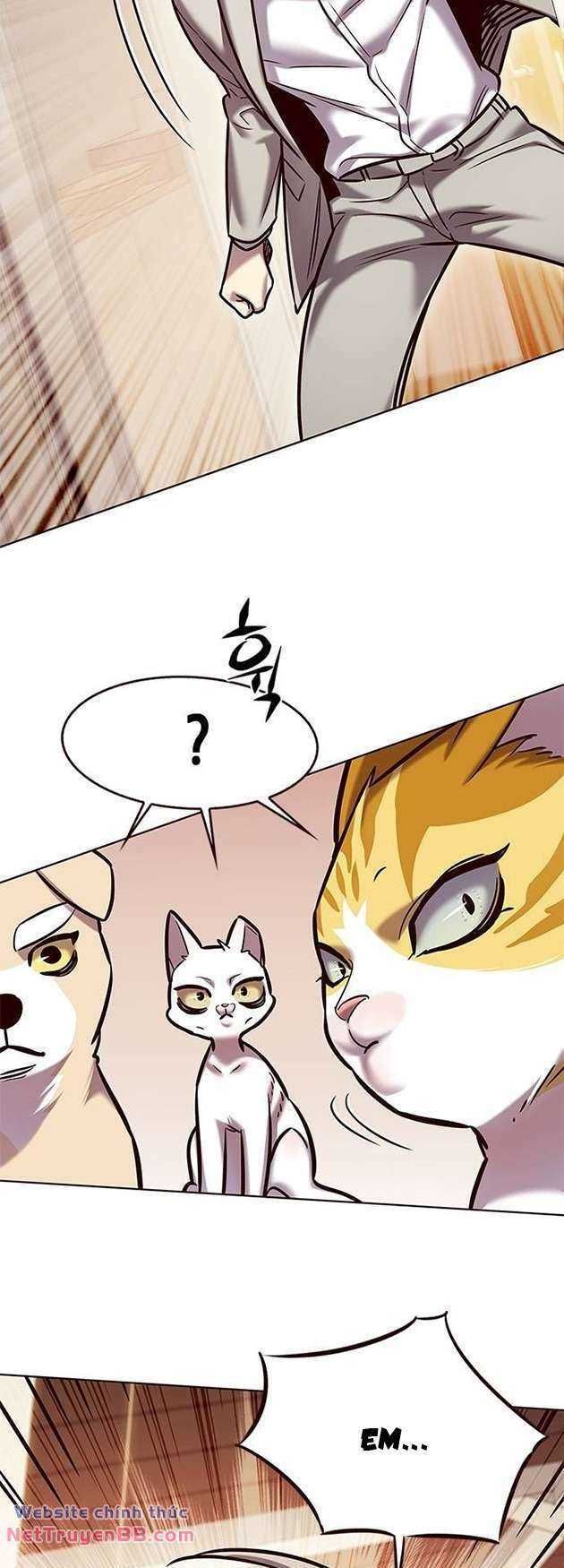 đọc truyện Hóa Thân Thành Mèo Chương 282 ảnh 57 tại Thiên Thai Truyện