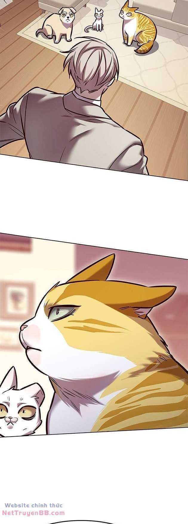 đọc truyện Hóa Thân Thành Mèo Chương 282 ảnh 59 tại Thiên Thai Truyện