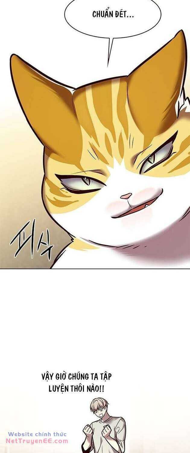 đọc truyện Hóa Thân Thành Mèo Chương 283 ảnh 44 tại Thiên Thai Truyện