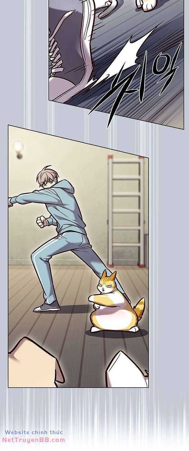 đọc truyện Hóa Thân Thành Mèo Chương 283 ảnh 49 tại Thiên Thai Truyện