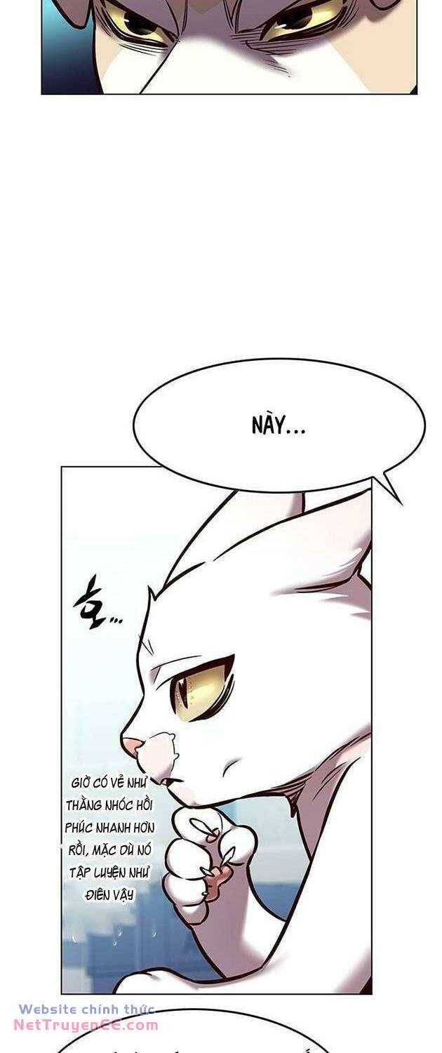 đọc truyện Hóa Thân Thành Mèo Chương 283 ảnh 52 tại Thiên Thai Truyện