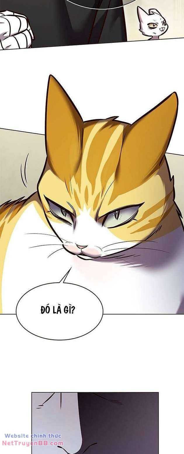 đọc truyện Hóa Thân Thành Mèo Chương 283 ảnh 78 tại Thiên Thai Truyện