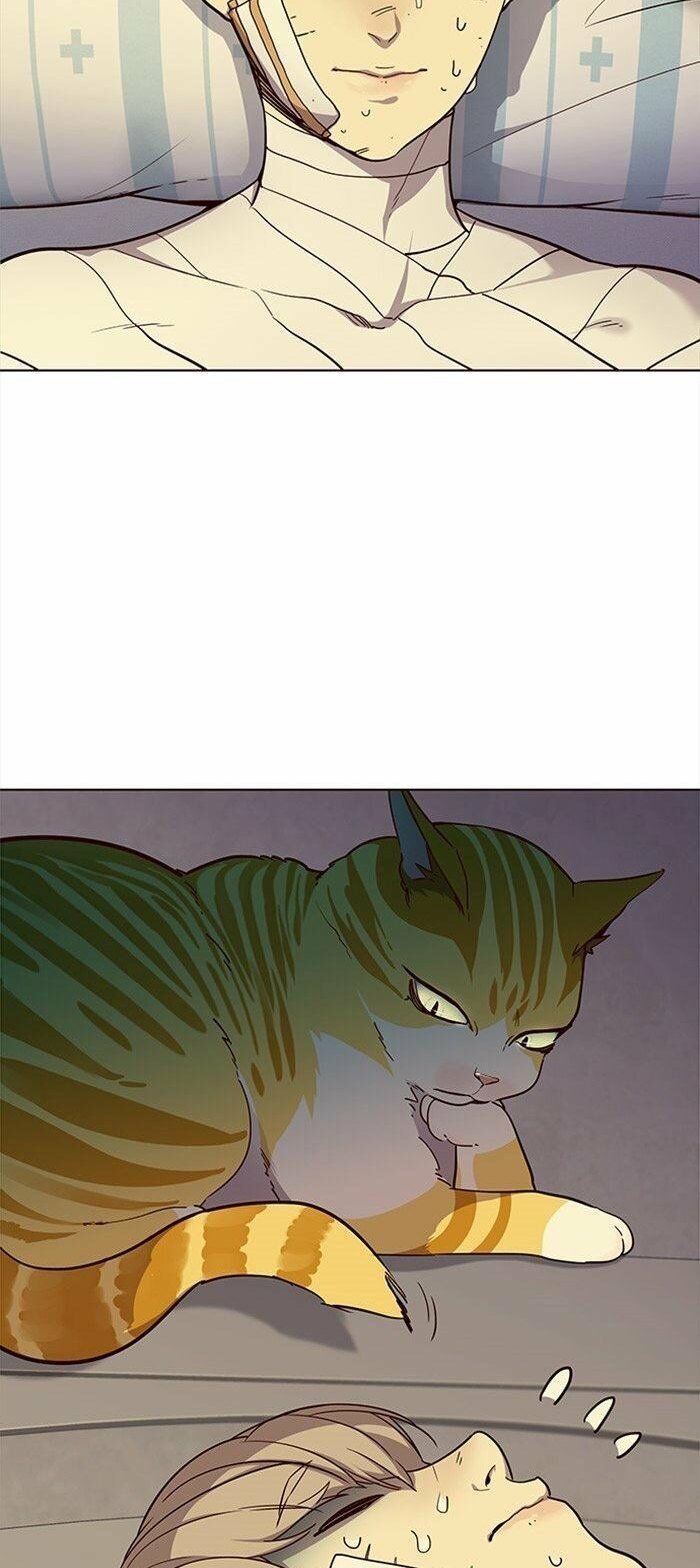 đọc truyện Hóa Thân Thành Mèo Chương 29 ảnh 15 tại Thiên Thai Truyện