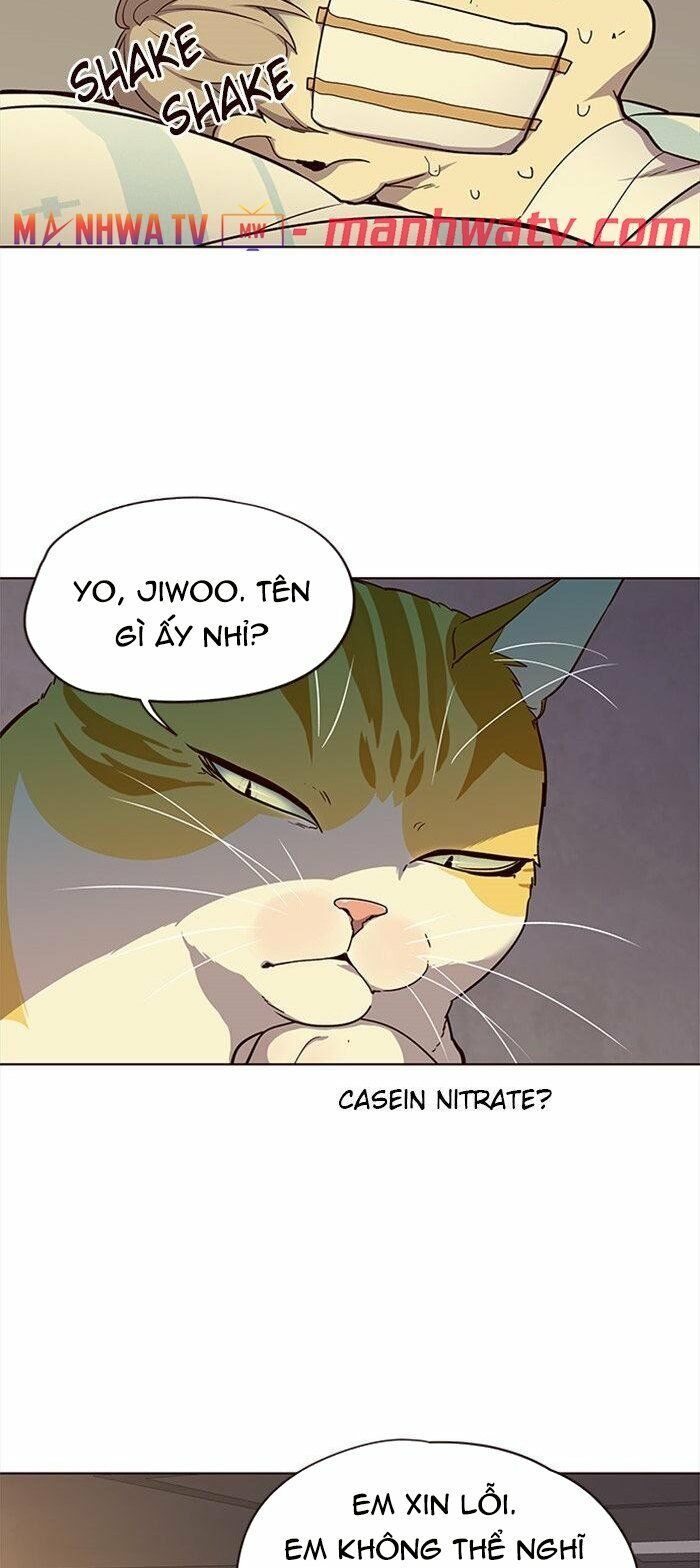 đọc truyện Hóa Thân Thành Mèo Chương 29 ảnh 16 tại Thiên Thai Truyện