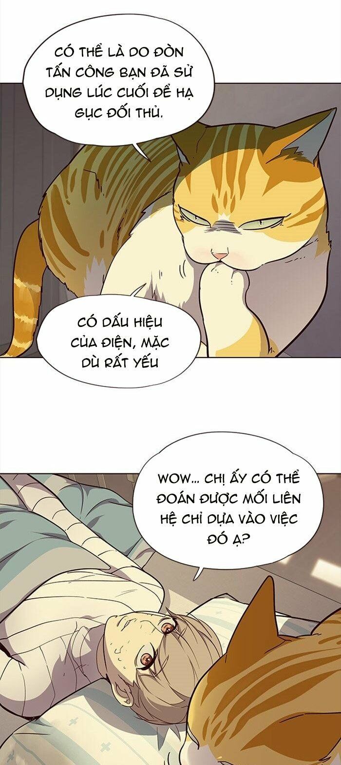 đọc truyện Hóa Thân Thành Mèo Chương 29 ảnh 20 tại Thiên Thai Truyện