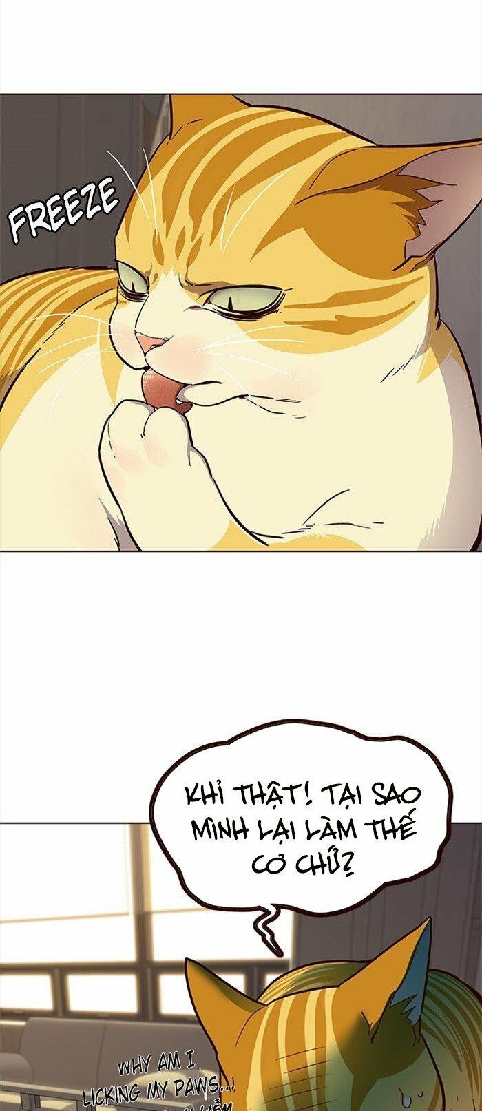 đọc truyện Hóa Thân Thành Mèo Chương 29 ảnh 22 tại Thiên Thai Truyện