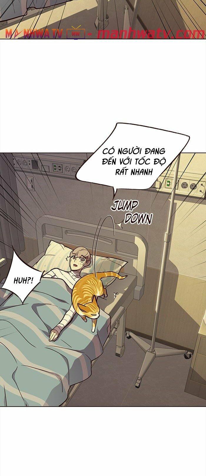 đọc truyện Hóa Thân Thành Mèo Chương 29 ảnh 24 tại Thiên Thai Truyện