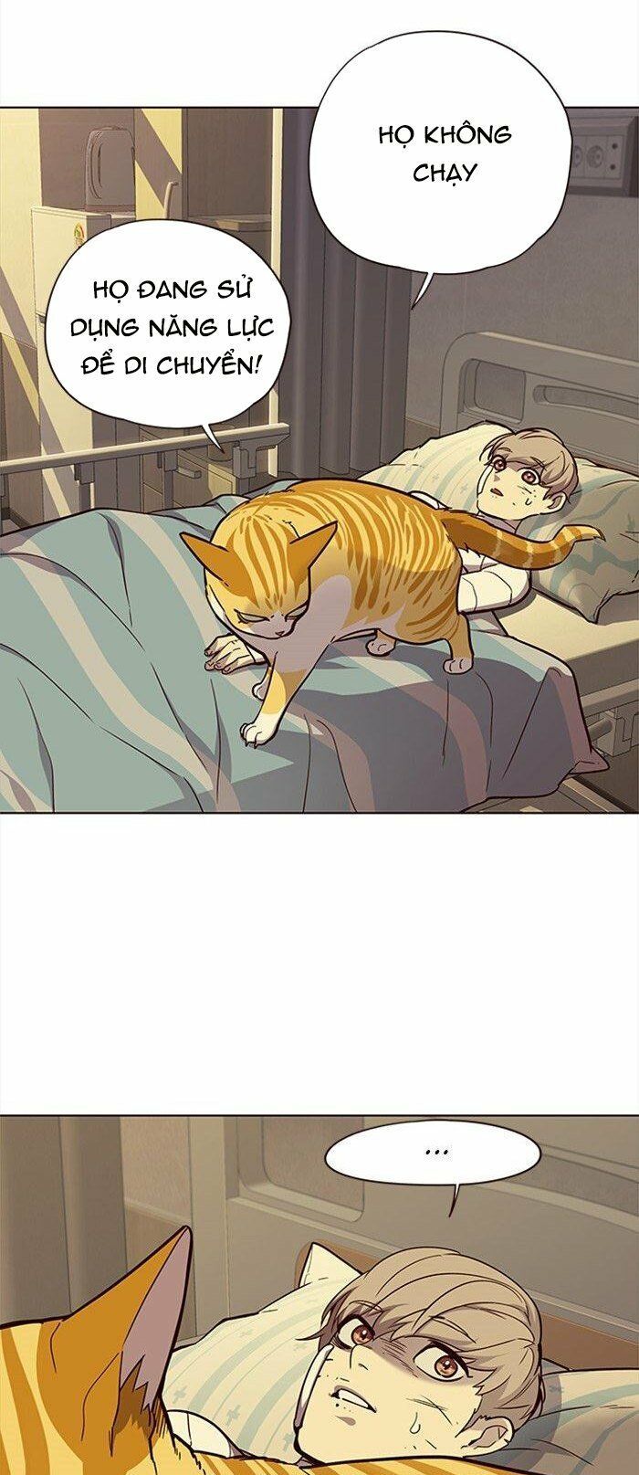 đọc truyện Hóa Thân Thành Mèo Chương 29 ảnh 25 tại Thiên Thai Truyện