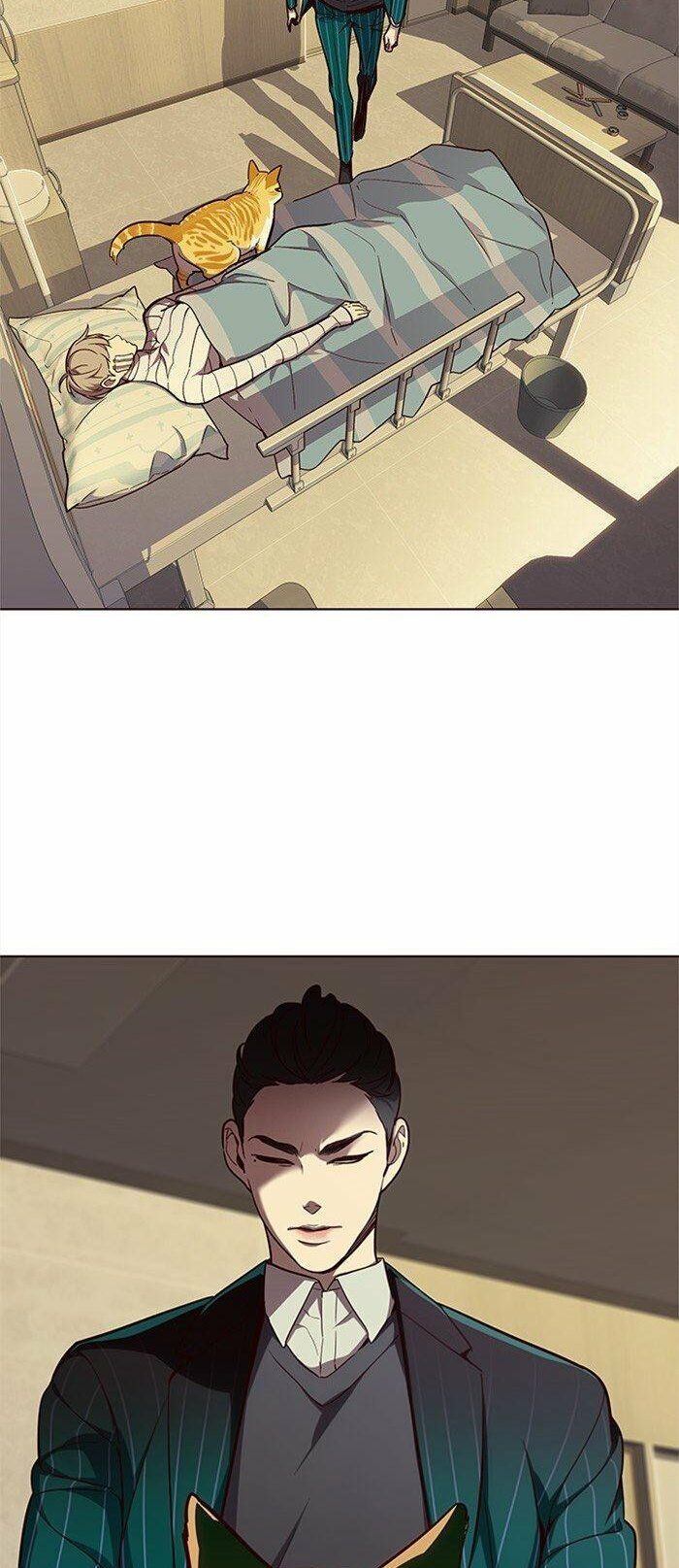 đọc truyện Hóa Thân Thành Mèo Chương 29 ảnh 28 tại Thiên Thai Truyện