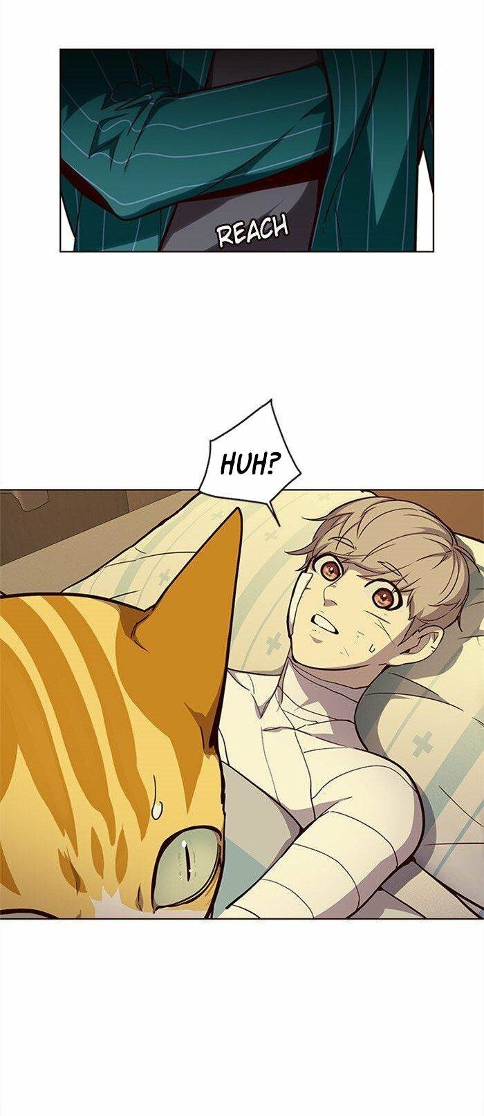 đọc truyện Hóa Thân Thành Mèo Chương 29 ảnh 30 tại Thiên Thai Truyện