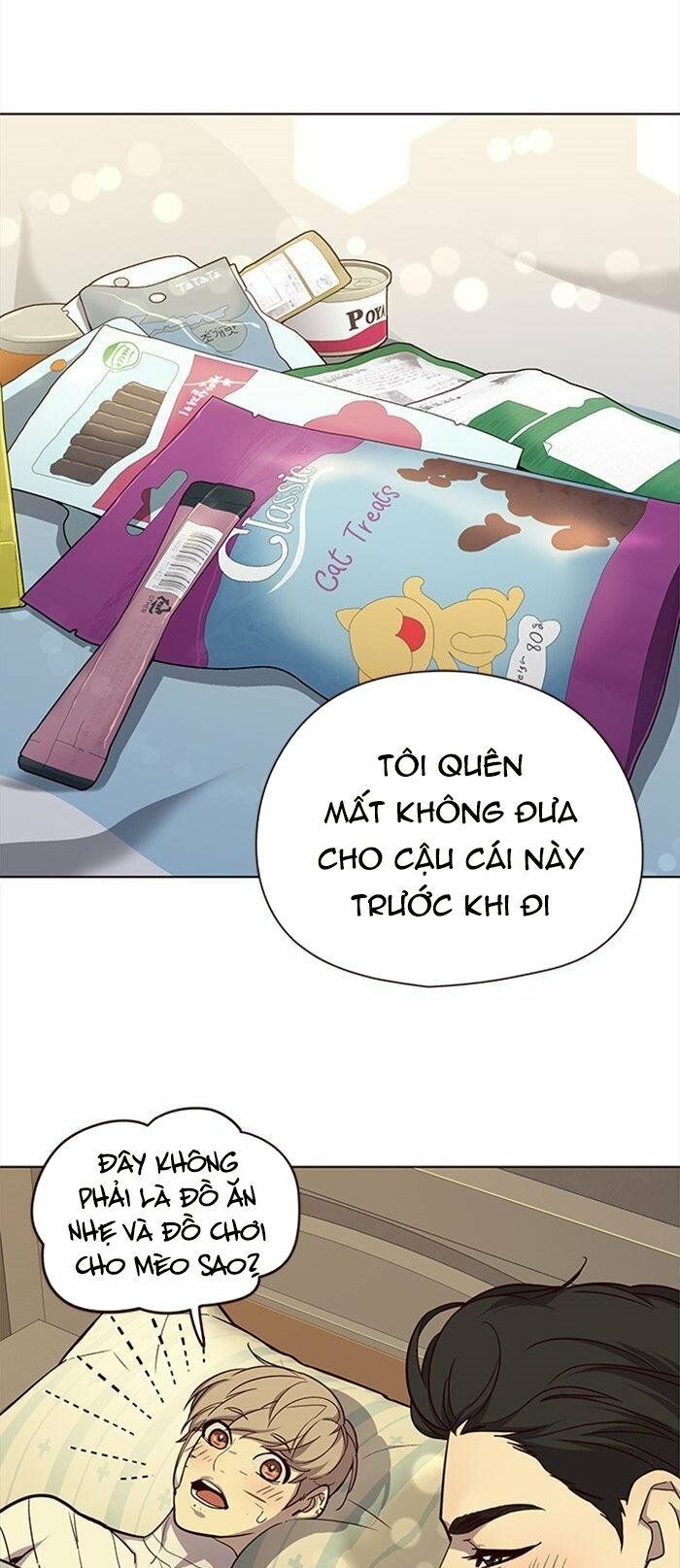 đọc truyện Hóa Thân Thành Mèo Chương 29 ảnh 31 tại Thiên Thai Truyện